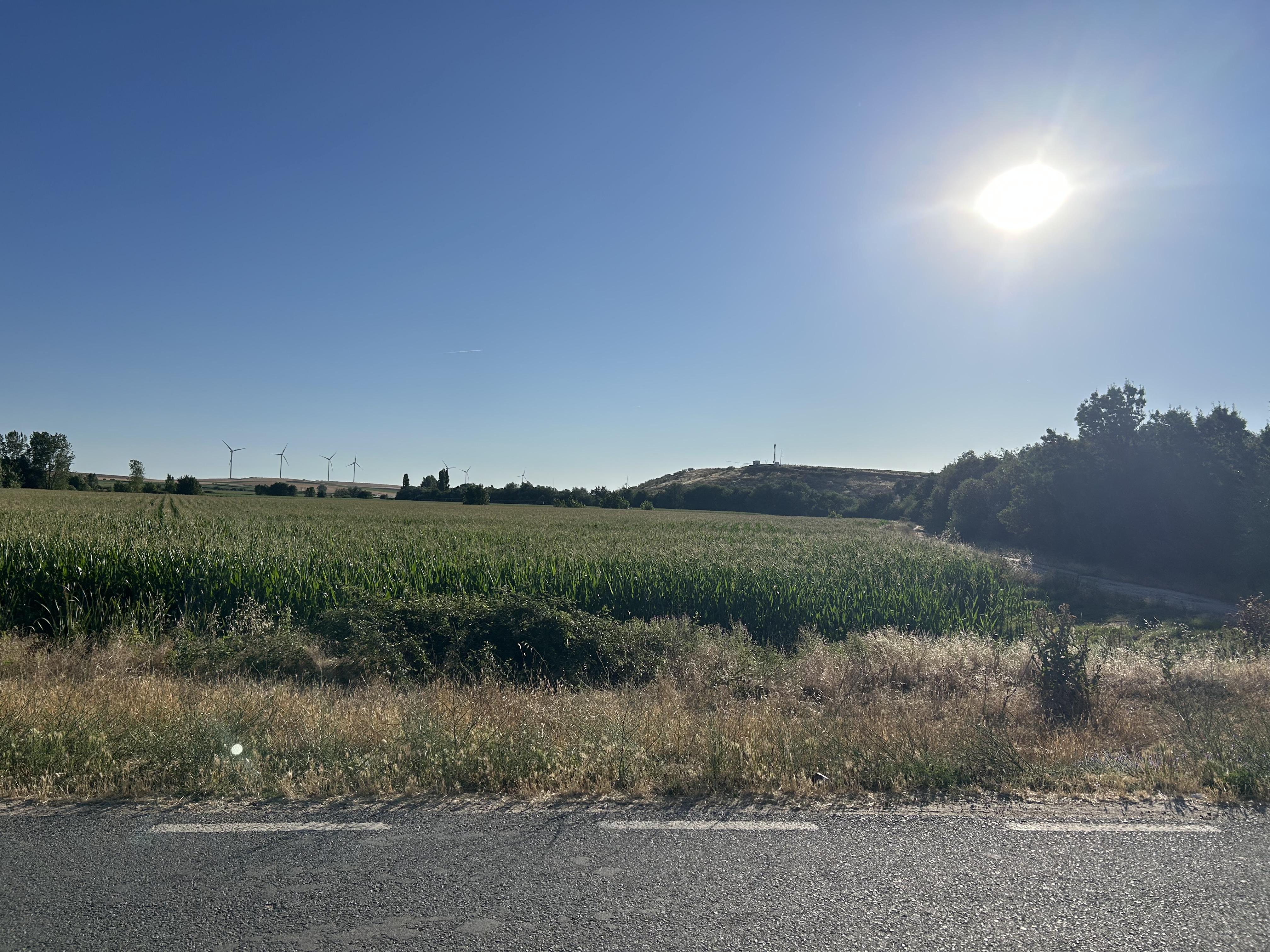 IMG_2946.jpeg